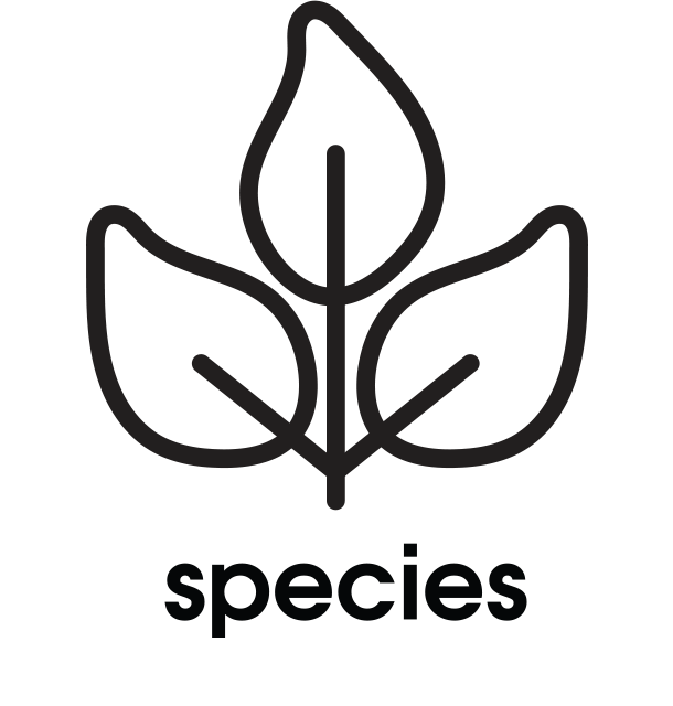 species